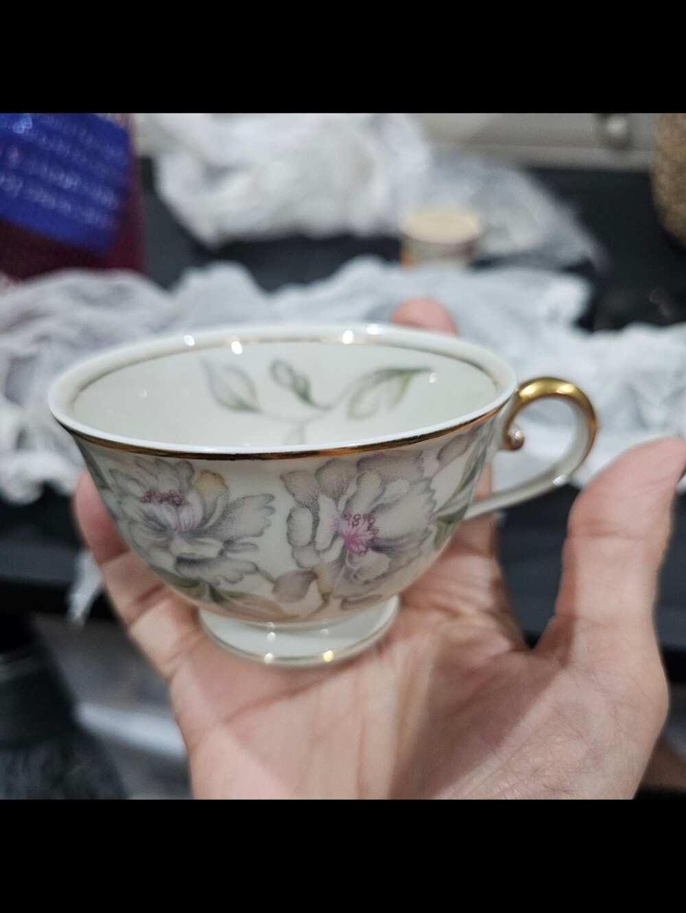 Meito Fine China from Occupied Japan SPRINGTIME Cup & Saucer 1945 - 1952